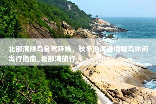 北部湾候鸟自驾环线，秋冬沿海湿地观鸟休闲出行指南_北部湾旅行