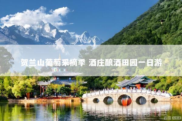 贺兰山葡萄采摘季 酒庄酿酒田园一日游