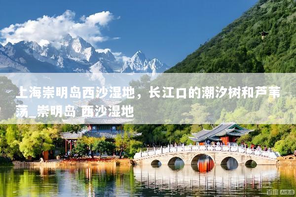 上海崇明岛西沙湿地，长江口的潮汐树和芦苇荡_崇明岛 西沙湿地