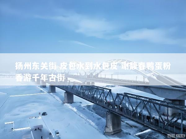 扬州东关街 皮包水到水包皮 谢馥春鸭蛋粉香游千年古街