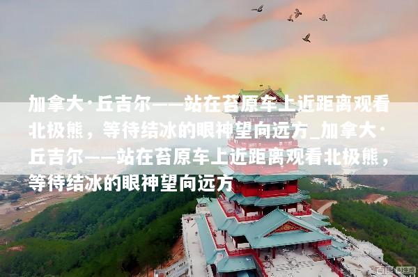 加拿大·丘吉尔——站在苔原车上近距离观看北极熊，等待结冰的眼神望向远方_加拿大·丘吉尔——站在苔原车上近距离观看北极熊，等待结冰的眼神望向远方