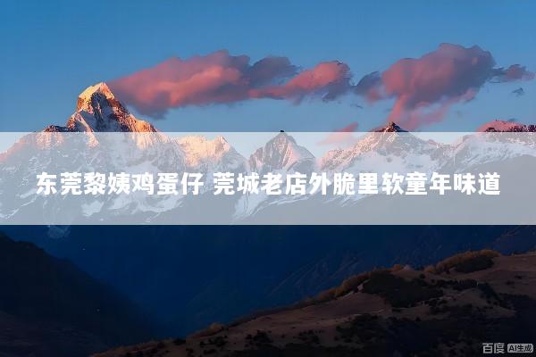 东莞黎姨鸡蛋仔 莞城老店外脆里软童年味道
