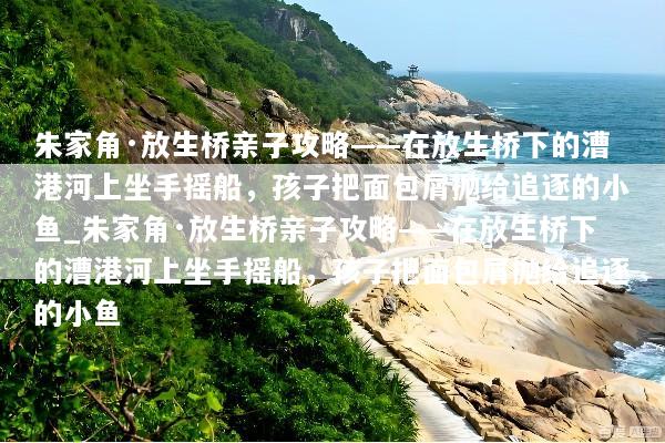 朱家角·放生桥亲子攻略——在放生桥下的漕港河上坐手摇船，孩子把面包屑抛给追逐的小鱼_朱家角·放生桥亲子攻略——在放生桥下的漕港河上坐手摇船，孩子把面包屑抛给追逐的小鱼