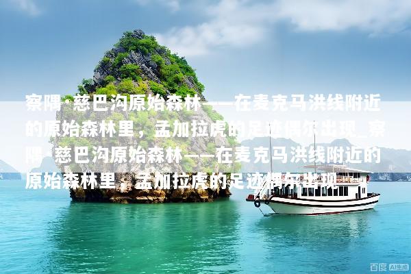 文章配图