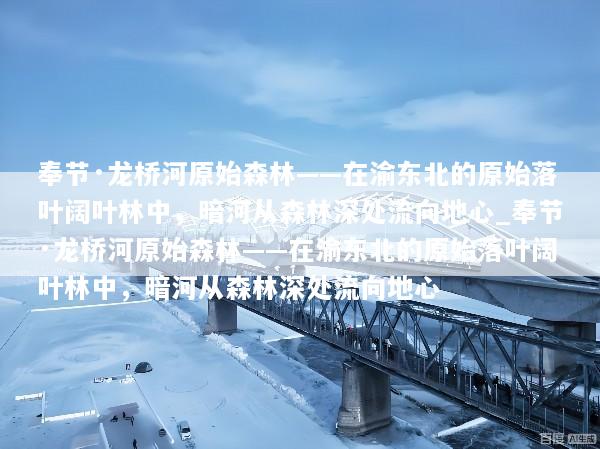 奉节·龙桥河原始森林——在渝东北的原始落叶阔叶林中，暗河从森林深处流向地心_奉节·龙桥河原始森林——在渝东北的原始落叶阔叶林中，暗河从森林深处流向地心