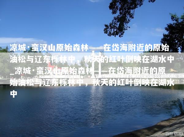 凉城·蛮汉山原始森林——在岱海附近的原始油松与辽东栎林中，秋天的红叶倒映在湖水中_凉城·蛮汉山原始森林——在岱海附近的原始油松与辽东栎林中，秋天的红叶倒映在湖水中