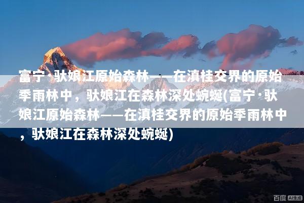 富宁·驮娘江原始森林——在滇桂交界的原始季雨林中，驮娘江在森林深处蜿蜒(富宁·驮娘江原始森林——在滇桂交界的原始季雨林中，驮娘江在森林深处蜿蜒)