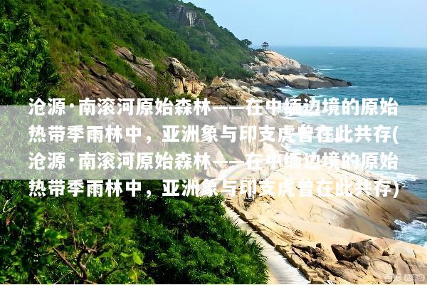 沧源·南滚河原始森林——在中缅边境的原始热带季雨林中，亚洲象与印支虎曾在此共存(沧源·南滚河原始森林——在中缅边境的原始热带季雨林中，亚洲象与印支虎曾在此共存)