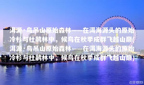 洱源·鸟吊山原始森林——在洱海源头的原始冷杉与杜鹃林中，候鸟在秋季成群飞越山巅(洱源·鸟吊山原始森林——在洱海源头的原始冷杉与杜鹃林中，候鸟在秋季成群飞越山巅)