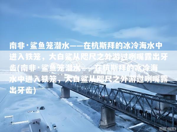南非·鲨鱼笼潜水——在杭斯拜的冰冷海水中进入铁笼，大白鲨从咫尺之外游过咧嘴露出牙齿(南非·鲨鱼笼潜水——在杭斯拜的冰冷海水中进入铁笼，大白鲨从咫尺之外游过咧嘴露出牙齿)