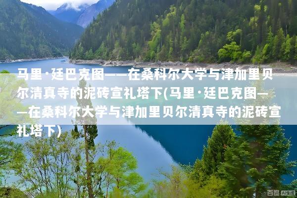 马里·廷巴克图——在桑科尔大学与津加里贝尔清真寺的泥砖宣礼塔下(马里·廷巴克图——在桑科尔大学与津加里贝尔清真寺的泥砖宣礼塔下)