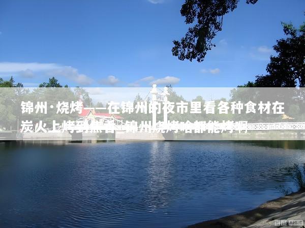 锦州·烧烤——在锦州的夜市里看各种食材在炭火上烤到焦香_锦州烧烤啥都能烤啊
