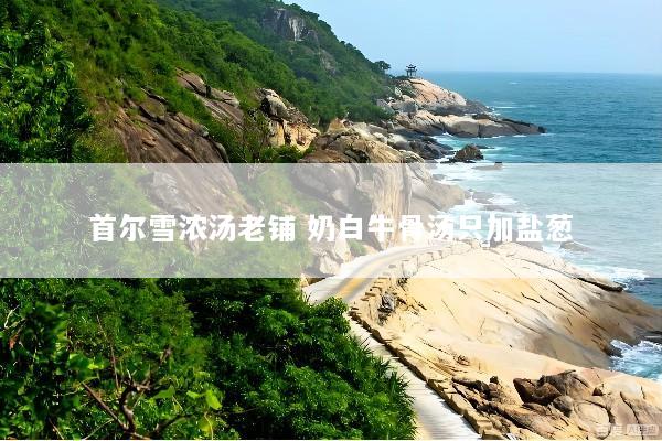 首尔雪浓汤老铺 奶白牛骨汤只加盐葱