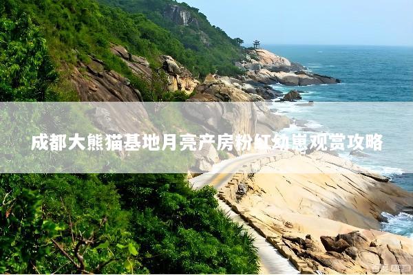 成都大熊猫基地月亮产房粉红幼崽观赏攻略