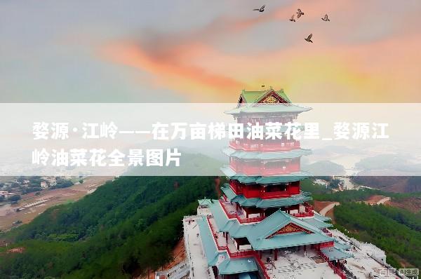 婺源·江岭——在万亩梯田油菜花里_婺源江岭油菜花全景图片