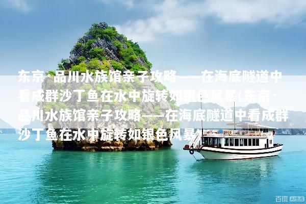 东京·品川水族馆亲子攻略——在海底隧道中看成群沙丁鱼在水中旋转如银色风暴(东京·品川水族馆亲子攻略——在海底隧道中看成群沙丁鱼在水中旋转如银色风暴)