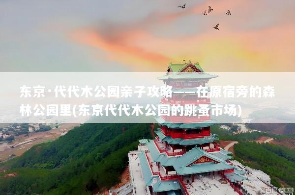 东京·代代木公园亲子攻略——在原宿旁的森林公园里(东京代代木公园的跳蚤市场)